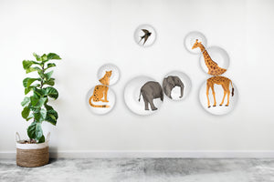 Jungles of India- Set of 8 Wall Plates by Quirk India